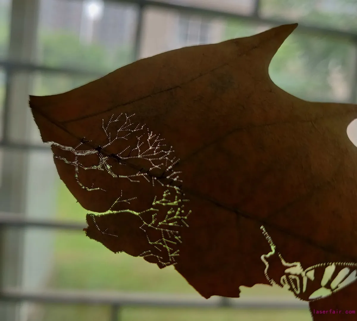 Quelles machines laser à fibre peuvent faire?